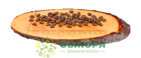 Carnilove GF Energy, Outdoor Reindeer сухой беззерновой корм для активных котов, с оленем_3