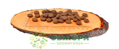 Carnilove GF Puppy Large Salmon, Turkey сухой беззерновой корм для щенков больших пород, с лососем и индейкой_3