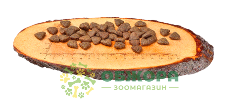 Carnilove GF Salmon беззерновой сухой корм для собак, с лососем_2