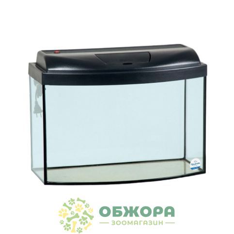 Природа Неон Led