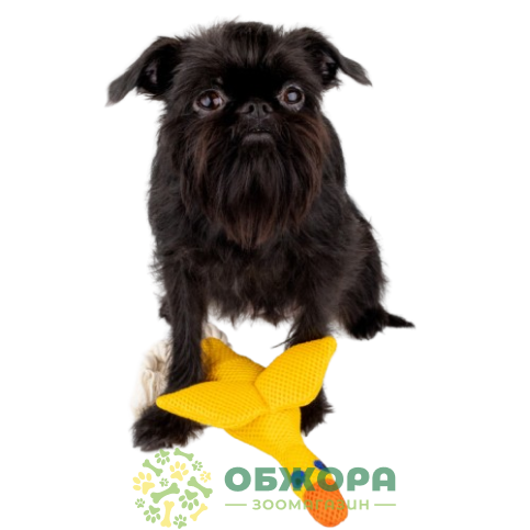 Barksi дентал утенок_4