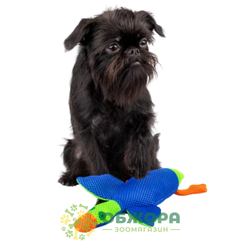 Barksi дентал утка_4