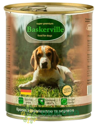 Baskervile Kaninchen mit Fadennudeln und Karotten_1