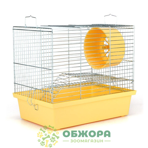 Лорі Хо'мяк-2_2