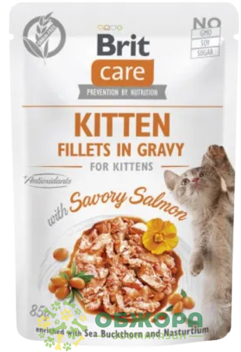 Brit Care GF Kitten Salmon беззерновий вологий корм для кошенят, в соусі з лососем
