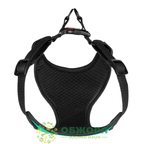 Bronzedog Sport_2
