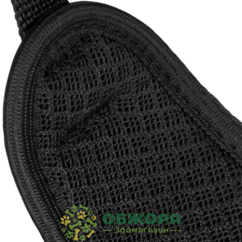 Bronzedog Sport_4