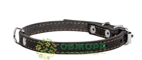 Collar Dog Extremе_1