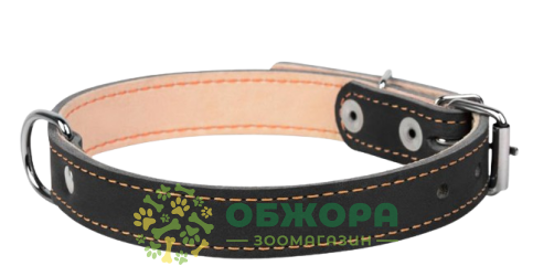 Collar_1