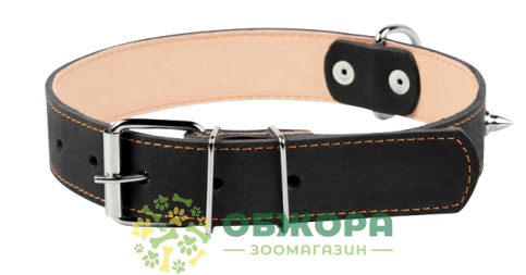 Collar_1