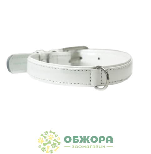 Collar_3