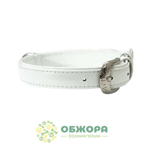 Collar_2