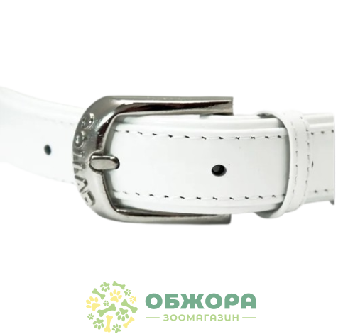 Collar_1