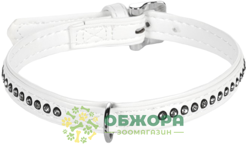Collar ошейник_1