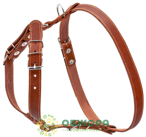 Collar шлея