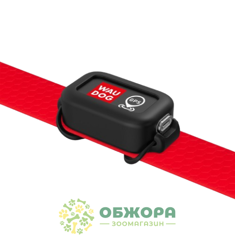 Collar WauDog Device GPS-трекер_3