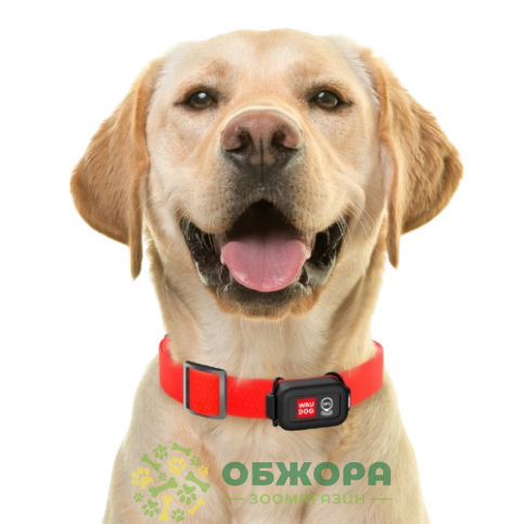 Collar WauDog Device GPS-трекер_4
