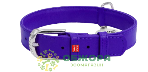 Collar WauDog Glamour_1