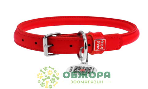 Collar WauDog Glamour