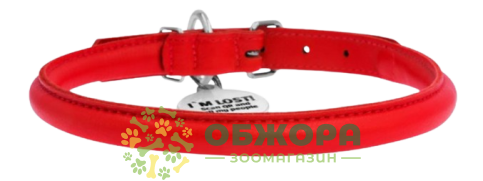 Collar WauDog Glamour_1