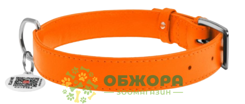 Collar WauDog Glamour_1