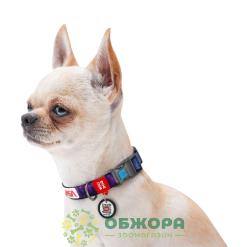Collar WauDog Nylon_5
