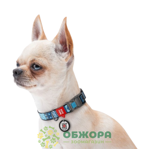 Collar WauDog Nylon_6