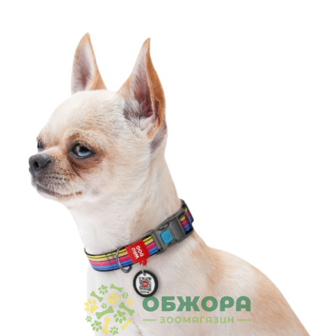 Collar WauDog Nylon_6