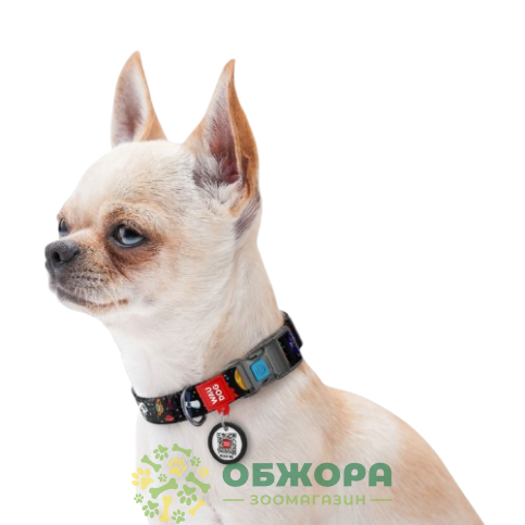 Collar WauDog Nylon_7