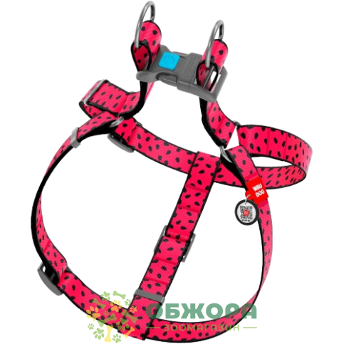 Collar WauDog Nylon_1