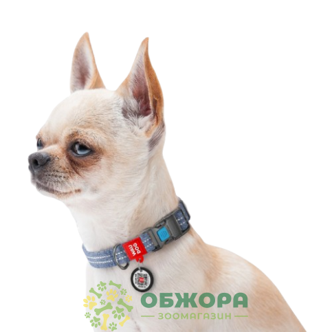 Collar WauDog Re-cotton_6