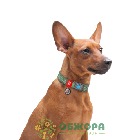 Collar WauDog Re-cotton_6