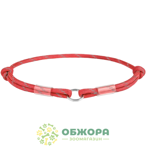Collar WauDog Smart ID_1