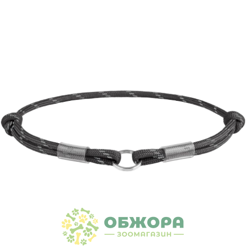 Collar WauDog Smart ID_2
