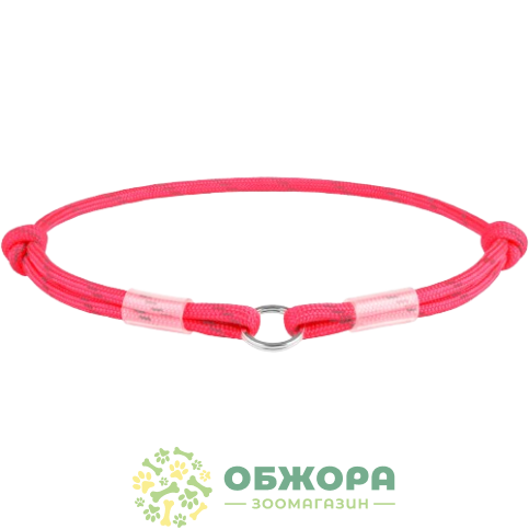 Collar WauDog Smart ID