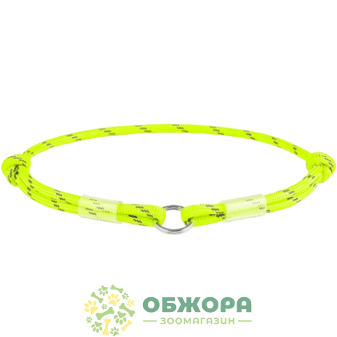 Collar WauDog Smart ID