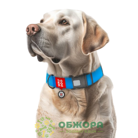 Collar WauDog Waterproof_9