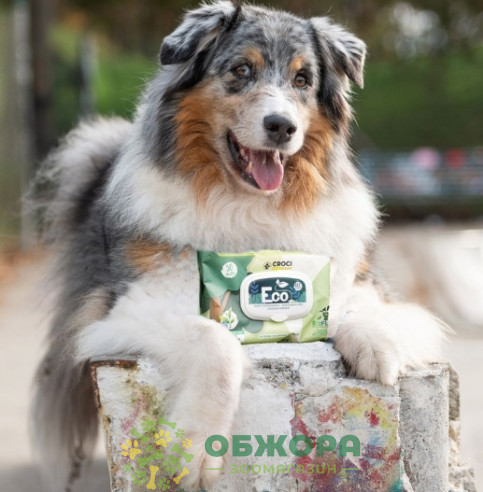 Croci ECO Almond, Shea серветки для котів та собак, для догляду за шкірою та шерстю_4