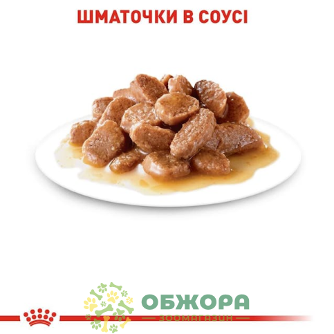 Royal Canin Digest Sensitive вологий корм для котів з чутливим травленням, в соусі_1