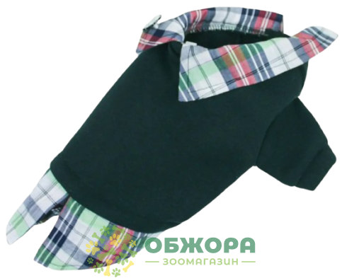 Dogs Bomba толстовка с рубашкой для собак, изумрудная_2
