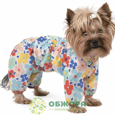 Pet Fashion Бонни_1