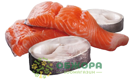Farmina N&D Ocean GF Mini Salmon, Cod беззерновой влажный корм для собак, паштет с лососем и щепкой_1