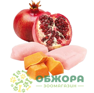 Farmina N&D Pumpkin GF Mini Chicken беззерновой влажный корм для собак миниатюрных пород, в соусе с курицей, тыквой и гранатом_1