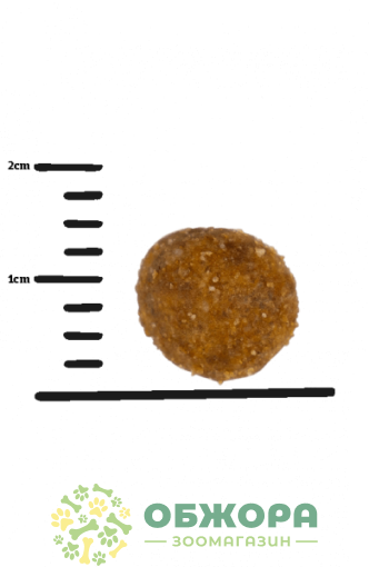 Green Petfood InsectDog Grain Free Sensitive_1