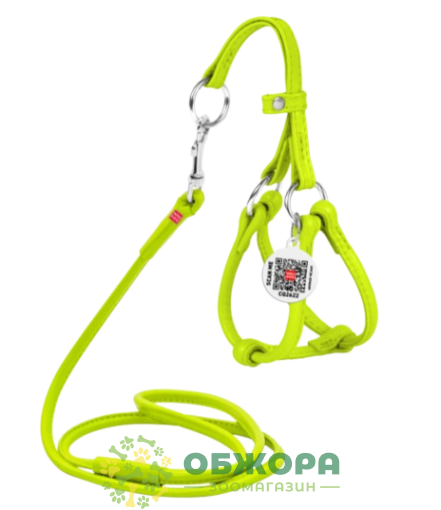 Collar WauDog Glamour