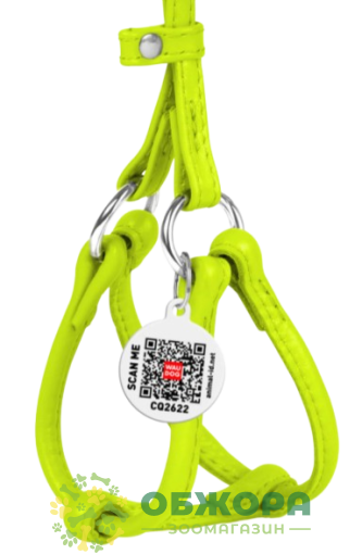 Collar WauDog Glamour_1