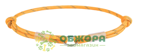 Collar WauDog Smart ID_1