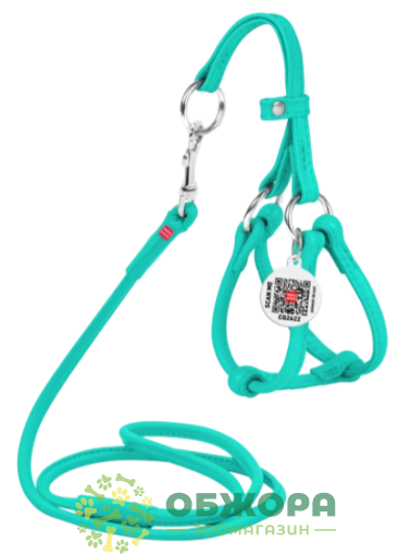 Collar WauDog Glamour