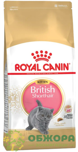 Royal Canin British Shorthair Kitten