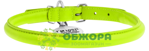 Collar WauDog Glamour_1